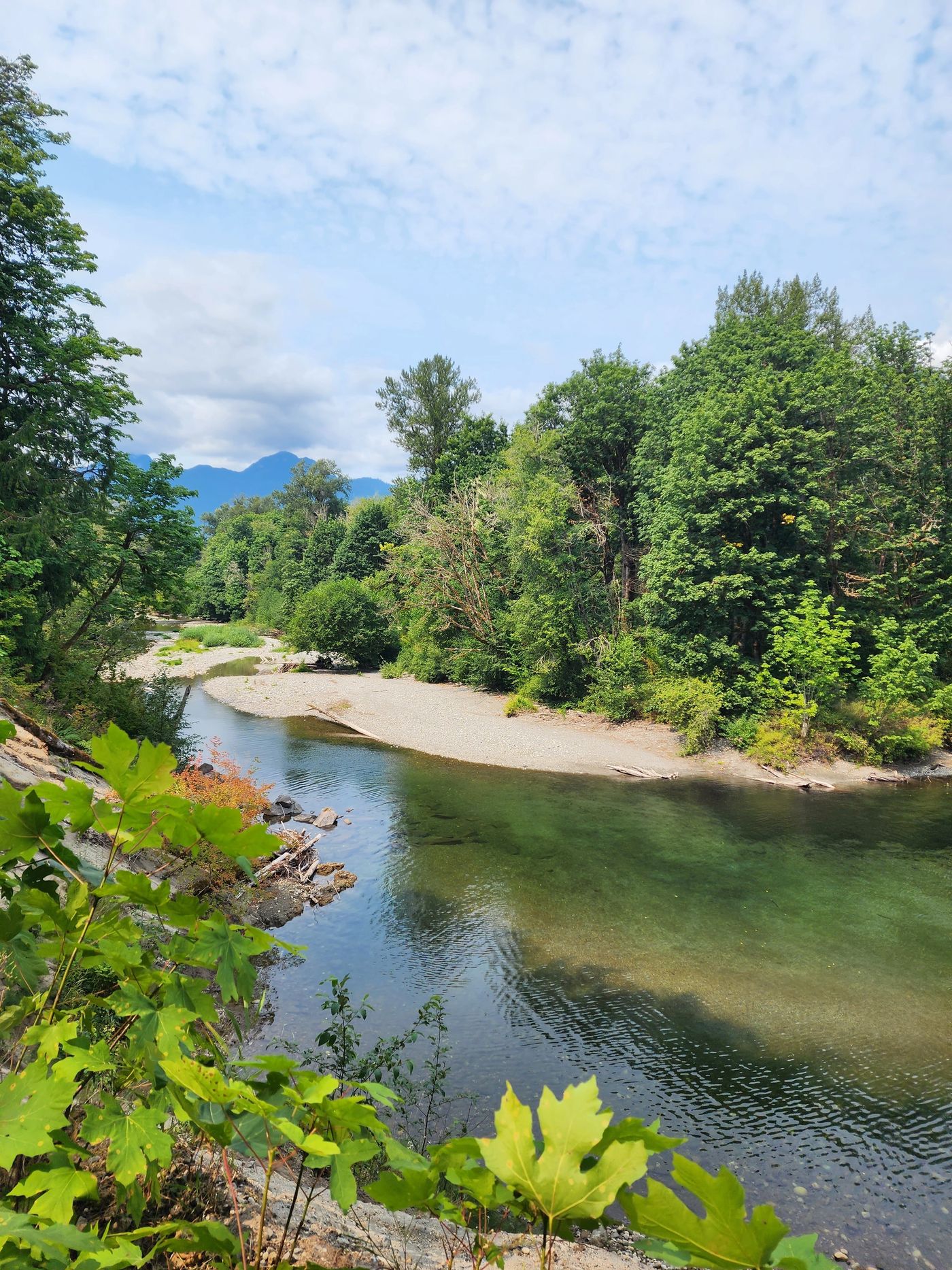 Stillaguamish River and green forest near the festival